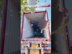 Multicolor Childrens Pull Along Suitcase 30L With Telescopic Handle